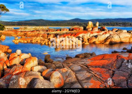 Rochers de granit recouverts de bactérie de lichen rouge sur la côte océanique du Pacifique de Tasmanie - baie de feux. Banque D'Images