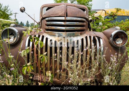 La calandre et les phares d'un camion Chevrolet 1943 sont cassés dans un chantier naval de l'Idaho, aux États-Unis Banque D'Images