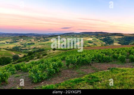 After the sunset, vineyards of Beaujolais, France Stock Photo