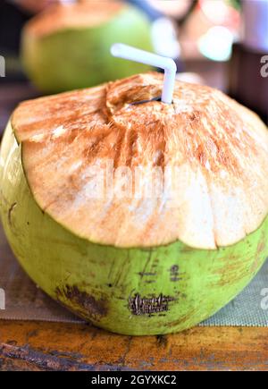 Cocktail de noix de coco vert frais avec paille blanche servi dans un restaurant tropical de vacances Banque D'Images