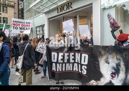 La Marche contre la fourrure NYC organisée par la Coalition pour abolir le Commerce de la fourrure : des activistes attentionnés contre la fourrure dans le centre de Manhattan.Des centaines de militants des droits des animaux se sont rassemblés sur le Grand Army Plaza pour le rassemblement et ont défilé à travers les rassemblements de mise en scène de Midtown Manhattan devant les boutiques de mode haut de gamme de Christian Dior, Moncler, Fendi, Dolce et Gabbana exigeant la fin de l'utilisation de la fourrure d'animaux à la mode.Les manifestants se sont également rassemblés contre des voitures de cheval et ont exigé que le conseil municipal adopte une législation pour les interdire dans les rues de New York.Le but principal des manifestants est la ville de New York sans fourrure.(Photo de Lev Radin/Pacifique Banque D'Images