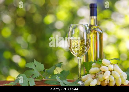 bouteille et verre de vin blanc sur une table en bois dans le jardin Banque D'Images