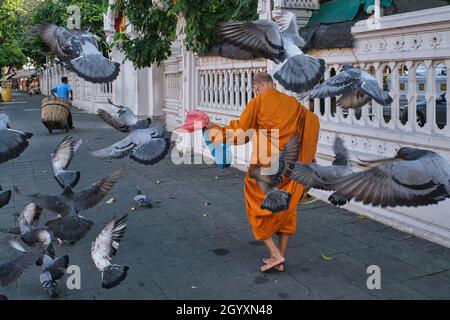 Un moine bouddhiste thaïlandais pieds nus passe devant un troupeau de pigeons étoilé devant Wat (temple) Ratchaburana (Wat Liab), à Bangkok, en Thaïlande Banque D'Images