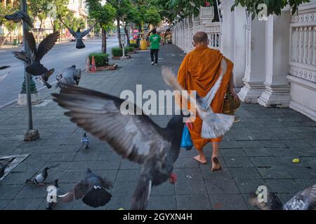 Un moine bouddhiste thaïlandais pieds nus passe devant un troupeau de pigeons étoilé devant Wat (temple) Ratchaburana (Wat Liab), à Bangkok, en Thaïlande Banque D'Images