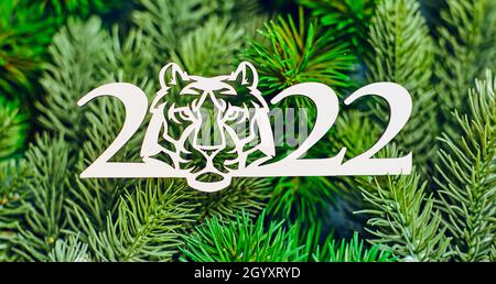 Nouvelle année du tigre 2022 , Joyeux Noël et Bonne Année. Banque D'Images