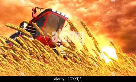 Moissonneuse agricole sur le champ de seigle ou de blé au lever du soleil - rendu 3D industriel par cg fictif Banque D'Images