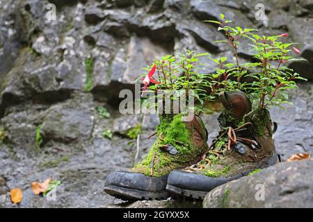 vieilles bottes de randonnée plantées couvertes de mousse sur un terrain de montagne pierreux Banque D'Images