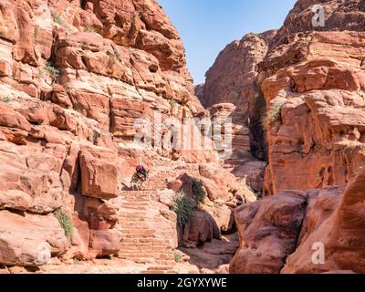 Femme arabe à bord d'un âne sur le sentier Ed-Deir (sentier du monastère) dans l'ancienne ville de Pétra, en Jordanie. Banque D'Images