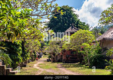 Rues de Tenganan, village traditionnel, Bali, Indonésie. Banque D'Images