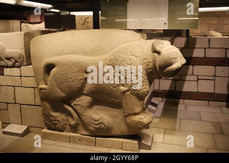 Sculpture du lion au Musée des civilisations anatoliennes, ville d'Ankara, Turquie Banque D'Images