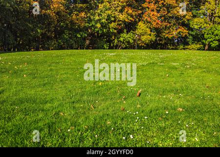Scène d'automne dorée et colorée le jour du soleil Banque D'Images