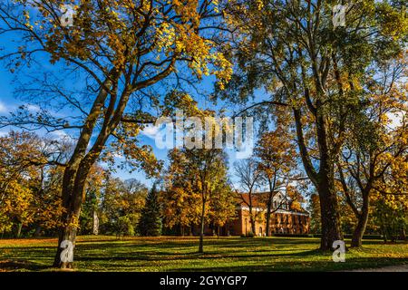 feuillage orange dans le parc de la ville lors d'une matinée ensoleillée d'automne Banque D'Images