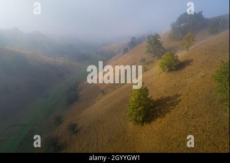 Image aérienne du magnifique paysage des collines de Zagajicka, dunes de sable couvertes d'herbe et arbres le matin brumeux Banque D'Images