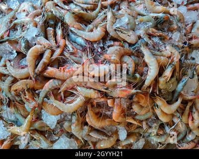 Pile de crevettes crues congelées à vendre sur un marché Banque D'Images