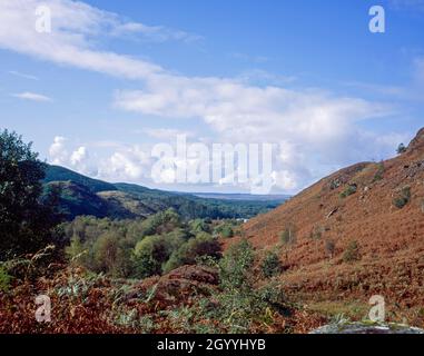 Sentier à côté de Buchan Burn menant du Loch Trool à Merrick Dumfries et Galloway Scotland Banque D'Images