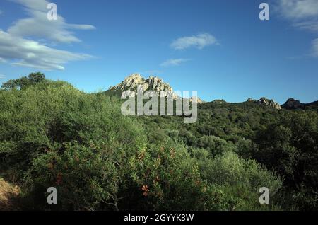 Mont San Pantaleo, près de la Costa Smeralda, Sardaigne, Italie Banque D'Images