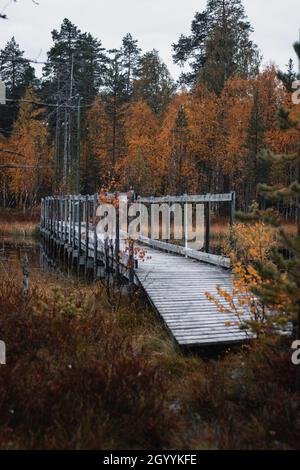 Pont en bois oublié au milieu de la nature sauvage et desolate dans la région de Kainuu en Finlande en automne. Banque D'Images