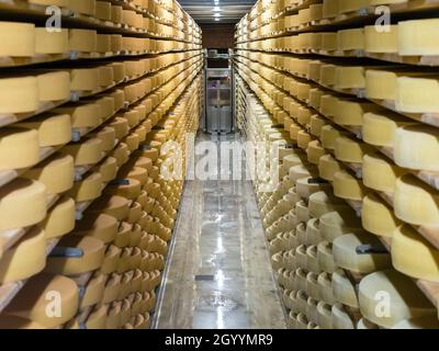 De longues rangées avec de grandes roues de fromage suisse Gruyère sont en train de mûrir au journal du fromage de Gruyère, en Suisse. Banque D'Images