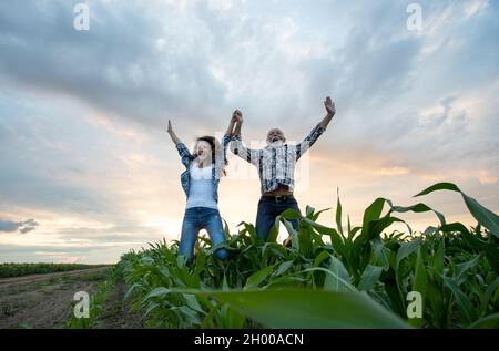 Agriculteur mature et jeune femme sautant dans le champ de maïs Banque D'Images