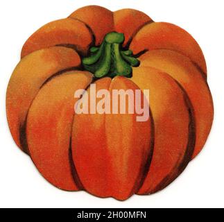 Illustration d'une citrouille orange (années 1950). Banque D'Images