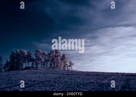 photographie infrarouge - surreal photo ir de paysage avec des arbres sous ciel nuageux - l'art de notre monde et les plantes dans la caméra infrarouge invisible sp Banque D'Images