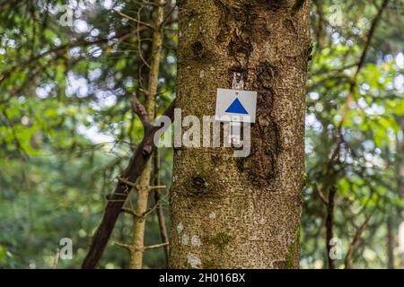 Panneau de randonnée dans les Vosges près de Rimbach-près-Guebwiller, France Banque D'Images