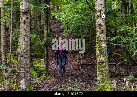 Sentier de randonnée dans les Vosges près de Rimbach-près-Guebwiller, France Banque D'Images