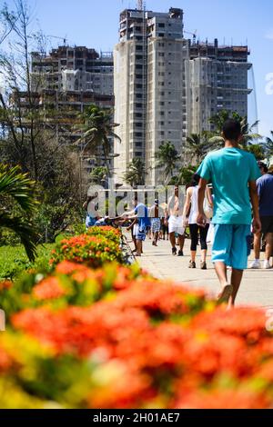 Salvador, Bahia, Brésil - 17 août 2014 : le Parque de Pituacu est situé sur le front de mer et occupe la plus grande réserve écologique de la ville de sa Banque D'Images