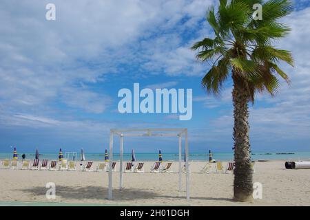 Vue sur une plage avec un arbre au premier plan, en arrière-plan, chaises longues, parasols fermés et mer. Banque D'Images