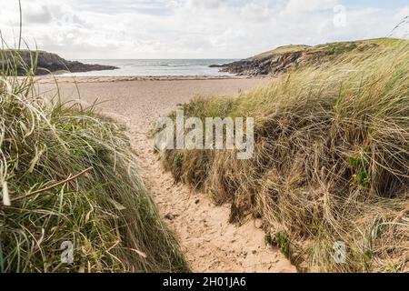 Sentier à travers les dunes de sable jusqu'à Porth Nobla sur la côte d'Anglesey, dans le nord du pays de Galles, vu en octobre 2021. Banque D'Images