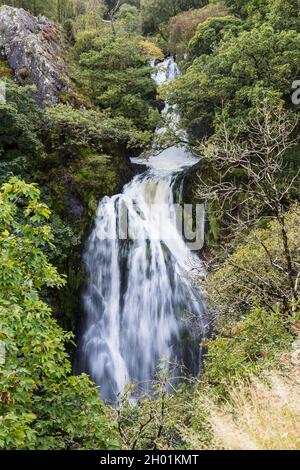 La spectaculaire cascade de Ceunant Mawr (également connue sous le nom de Llanberis Falls) déborde d'eau de pluie dans une gorge boisée au cœur du nord du pays de Galles. Banque D'Images