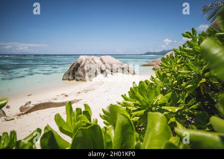 Anse Source d'argent beach - magnifiquement encadrée par bloc de granite en forme de feuilles vertes, l'île de La Digue, Seychelles Banque D'Images