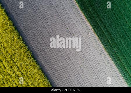 Image aérienne du champ agricole avec différentes cultures et couleurs en forme géométrique Banque D'Images