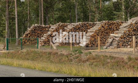 Grande pile de bois taillé sur le côté de la route Banque D'Images