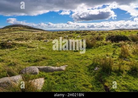 Rochers de granit dans la terre avec des moutons paître sur une colline surplombant la baie de Colwyn Banque D'Images