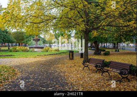 Carl Johans Park à l'automne à Norrkoping, en Suède.Norrkoping est une ville industrielle historique de Suède. Banque D'Images