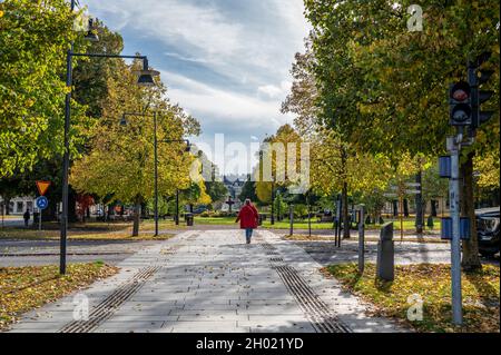 Carl Johans Park à l'automne à Norrkoping, en Suède.Norrkoping est une ville industrielle historique de Suède. Banque D'Images