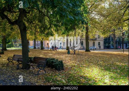 Carl Johans Park à l'automne à Norrkoping, en Suède.Norrkoping est une ville industrielle historique de Suède. Banque D'Images