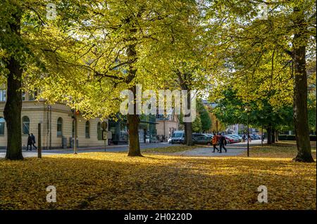 Carl Johans Park à l'automne à Norrkoping, en Suède.Norrkoping est une ville industrielle historique de Suède. Banque D'Images