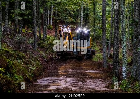 Une pelleteuse répare une route forestière trempée et boueuse dans les Vosges près d'Oderen, en Alsace, en France, sous une lumière tamisée. Les phares de travail de la machine brillent entre les troncs d'arbres. Banque D'Images