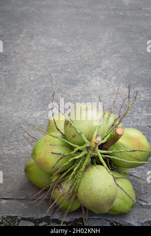 Paume de la noix de coco sur le fond du sol en ciment Banque D'Images