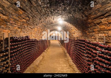 De vieilles bouteilles de vin en rangées dans la cave à vin Banque D'Images