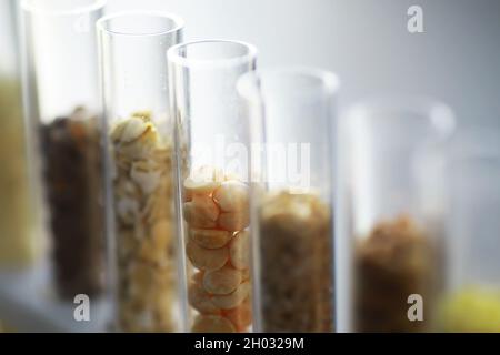 Tubes à essai avec graines de plantes de sélection. Recherche analyse des grains et des semences agricoles au laboratoire Banque D'Images