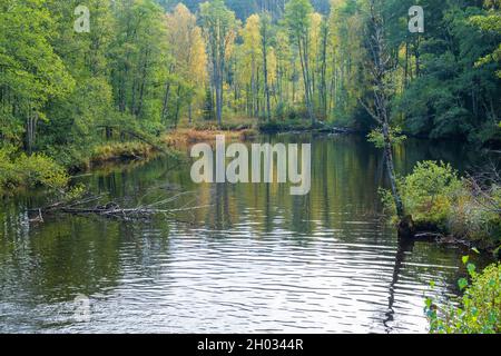 Lac aux couleurs d'automne dans la forêt à feuilles caduques Banque D'Images