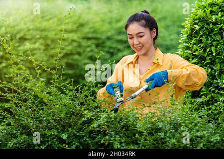 jeune femme utilisant de grandes ciseaux de coupe et de fraisage plante dans le jardin à la maison Banque D'Images