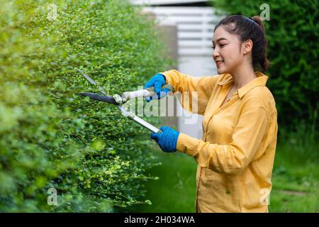 jeune femme utilisant de grandes ciseaux de coupe et de fraisage plante dans le jardin à la maison Banque D'Images