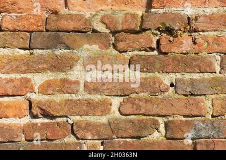 Modèle mur de briques. Vieux Mur construit à partir de la brique rouge, avec des restes de plâtre. La texture de fond. Banque D'Images