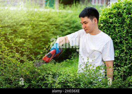 jeune homme utilisant une plante électrique sans fil de taille et de taille de haies dans le jardin à la maison Banque D'Images