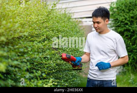 jeune homme utilisant une plante électrique sans fil de taille et de taille de haies dans le jardin à la maison Banque D'Images