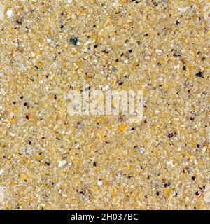 Grandes céréales de sable sur une plage, fond coloré Banque D'Images